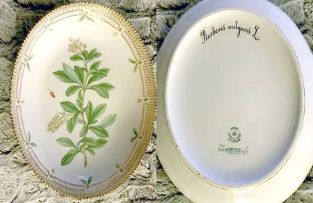 Flora Danica (1790 To 1960) 10" Oval Salad Serving Bowl-Berberis vulgaris L.