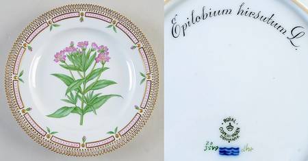 Flora Danica (1790 To 1960) Dinner Plate-Epilobium hipsutum Kit