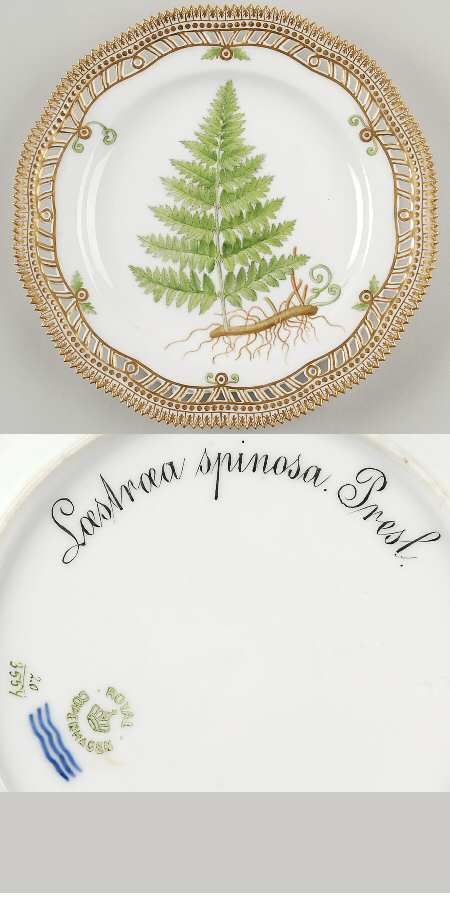 Flora Danica (1790 To 1960) 9" Pierced Luncheon Plate/Fruit Std-Lastraea spino