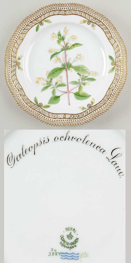 Flora Danica (1790 To 1960) 9" Pierced Luncheon Plate/Fruit Std-Galeopsis ochr
