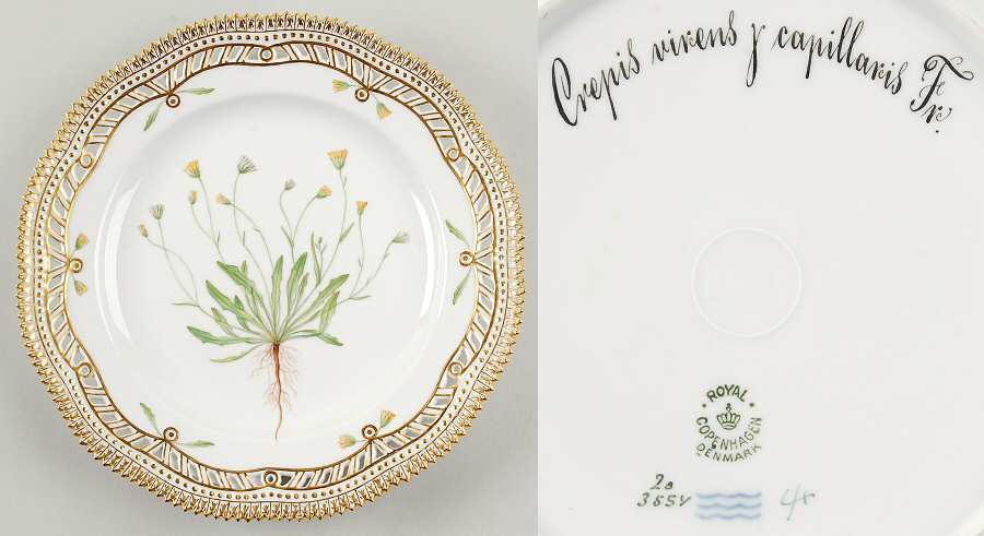 Flora Danica (1790 To 1960) 9" Pierced Luncheon Plate/Fruit Std-Crepis virens