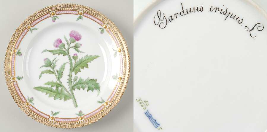 Flora Danica (1790 To 1960) Luncheon Plate-Carduus crispus L