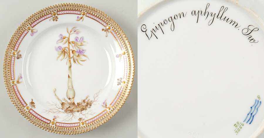 Flora Danica (1790 To 1960) Luncheon Plate-Epipogon aphyllum Sw