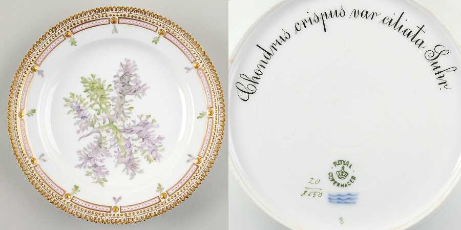 Flora Danica (1790 To 1960) Luncheon Plate-Chondrus crispus var ciliata Suhr