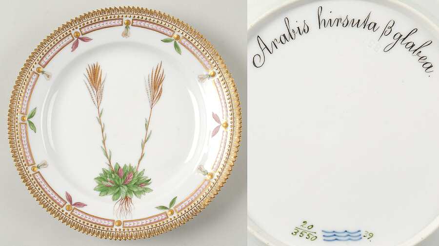 Flora Danica (1790 To 1960) Luncheon Plate-Arabis hirsuta B glabea