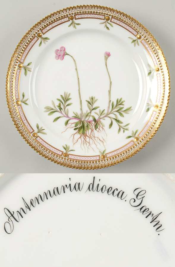 Flora Danica (1790 To 1960) Luncheon Plate-Antennaria dioica Gaertn
