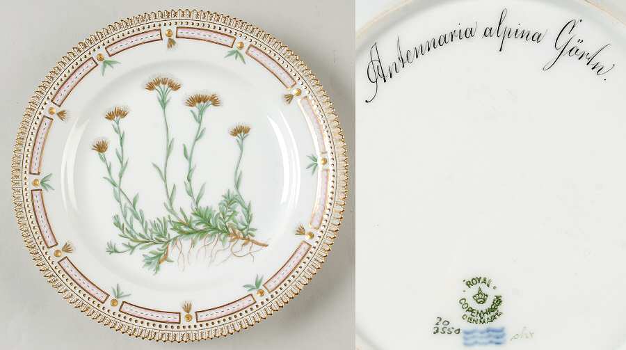 Flora Danica (1790 To 1960) Luncheon Plate-Antennaria alpina Gartn