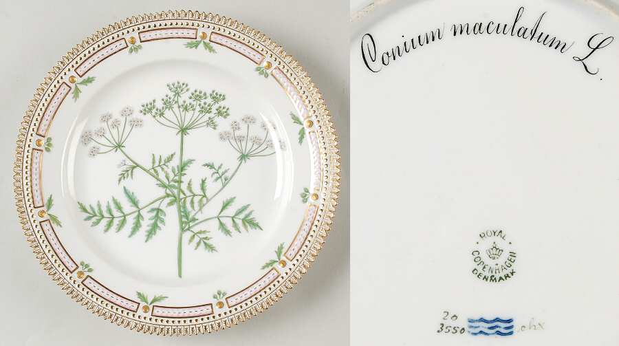 Flora Danica (1790 To 1960) Luncheon Plate-Conium maculatum L