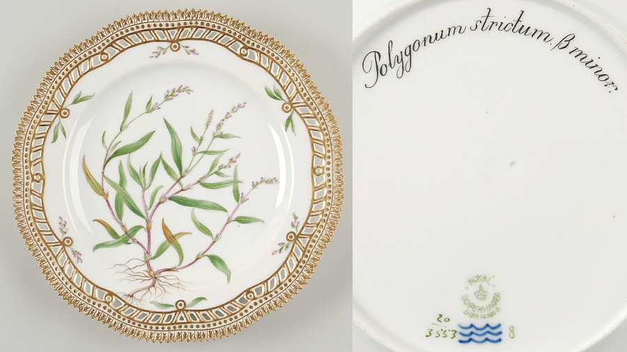 Flora Danica (1790 To 1960) 10" Pierced Dinner Plate/Fruit Std-Polygonum stric
