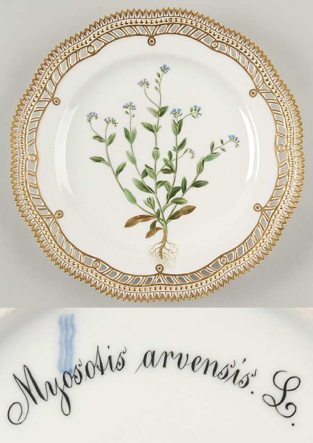 Flora Danica (1790 To 1960) 10" Pierced Dinner Plate/Fruit Std-Myosotis arvens