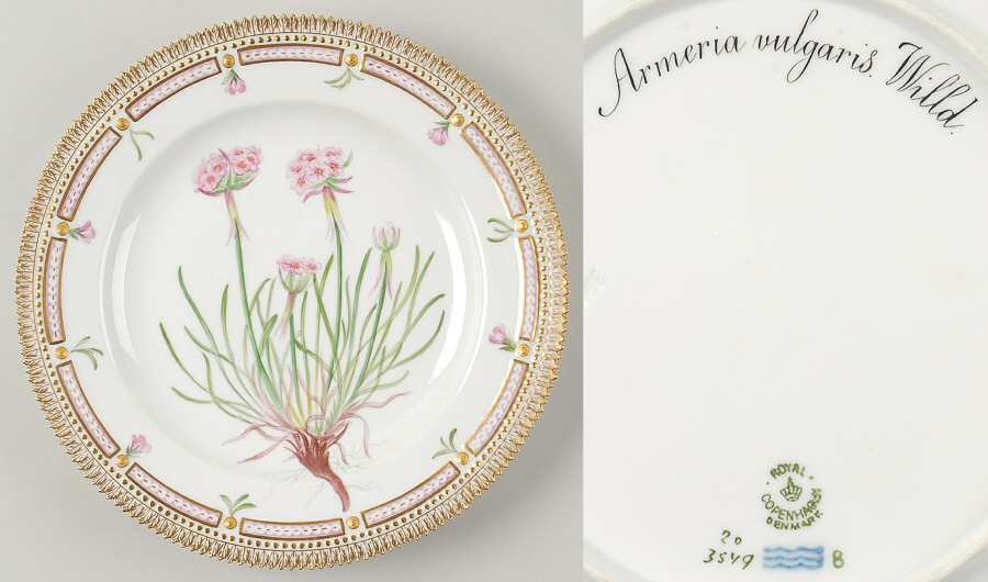 Flora Danica (1790 To 1960) Dinner Plate-Armeria vulgaris Willd