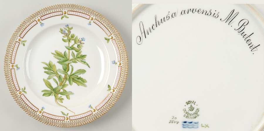 Flora Danica (1790 To 1960) Dinner Plate-Anchusa arvensis M Butent