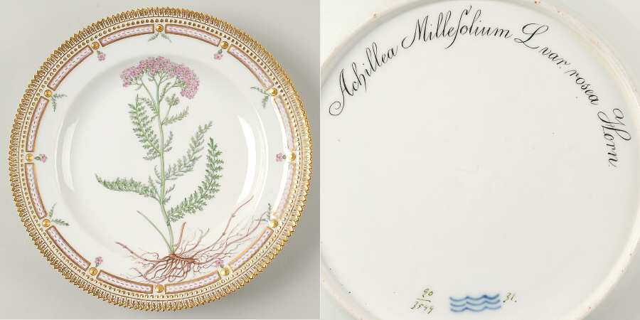 Flora Danica (1790 To 1960) Dinner Plate-Achillea Millefolium L var rosea horn