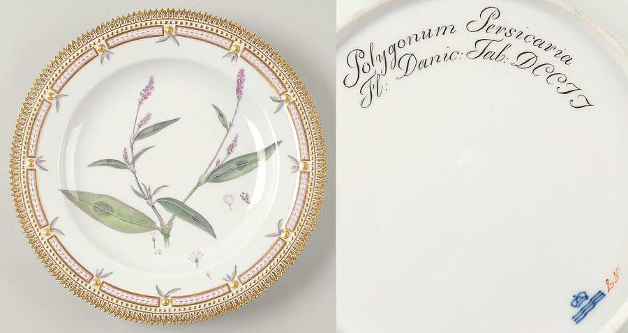 Flora Danica (1790 To 1960) Dinner Plate-JM-Polygonum persicaria L