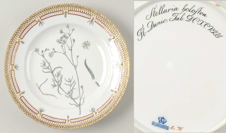 Flora Danica (1790 To 1960) Dinner Plate-JM-Stellaria holostea