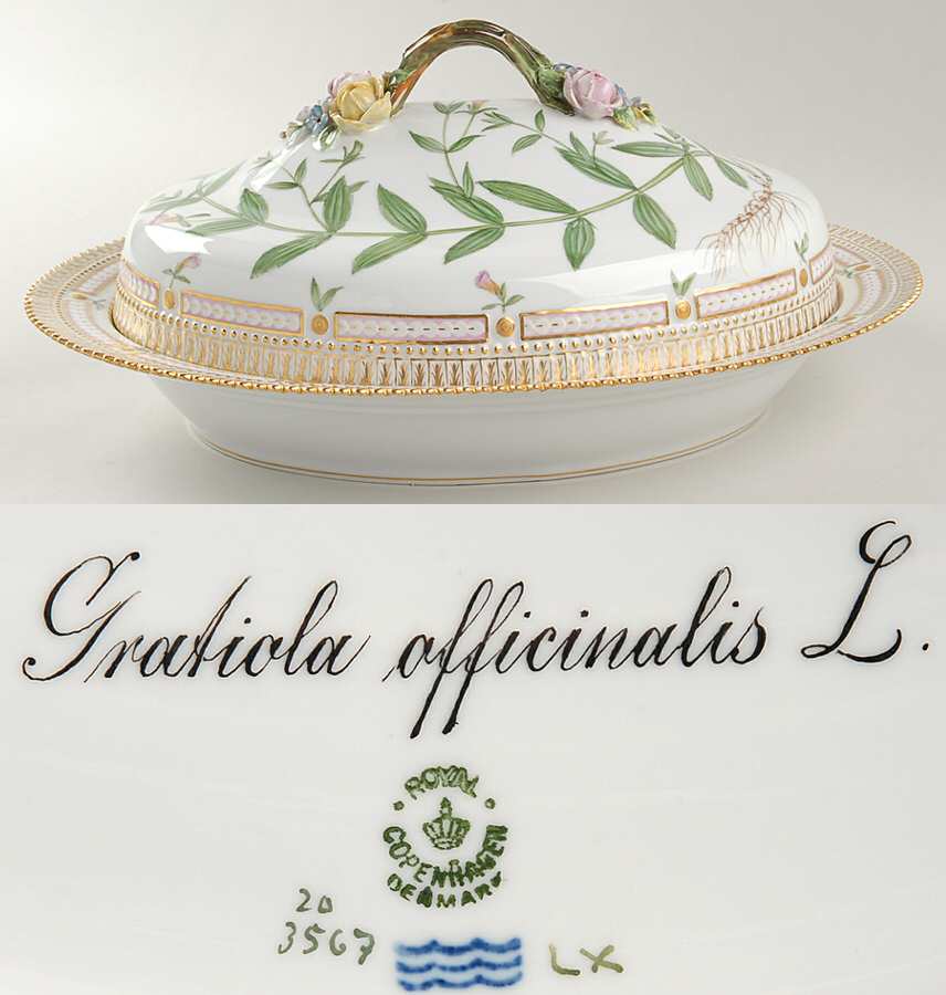 Flora Danica (1790 To 1960) Oval Covered Vegetable-Gratiola afficinalis L