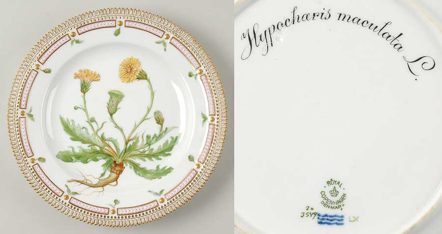 Flora Danica (1790 To 1960) Dinner Plate-Hypochoeris maculata L