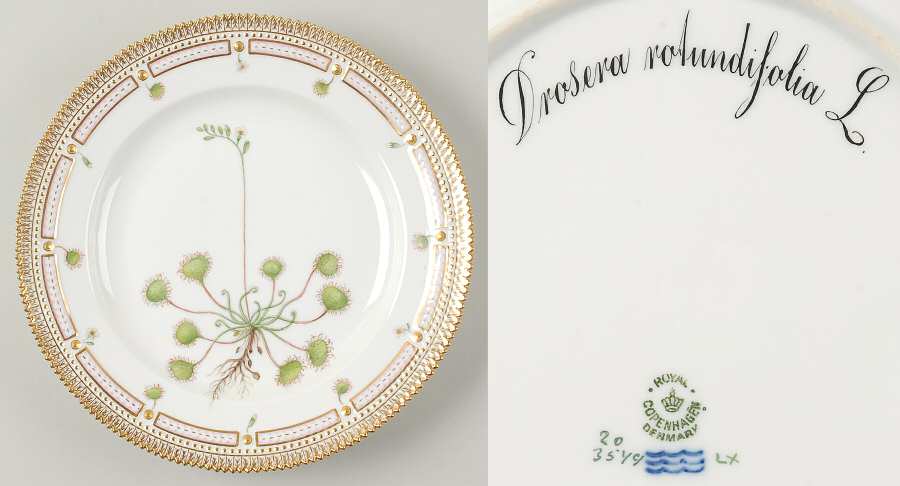 Flora Danica (1790 To 1960) Dinner Plate-Drosera rotundifolia L