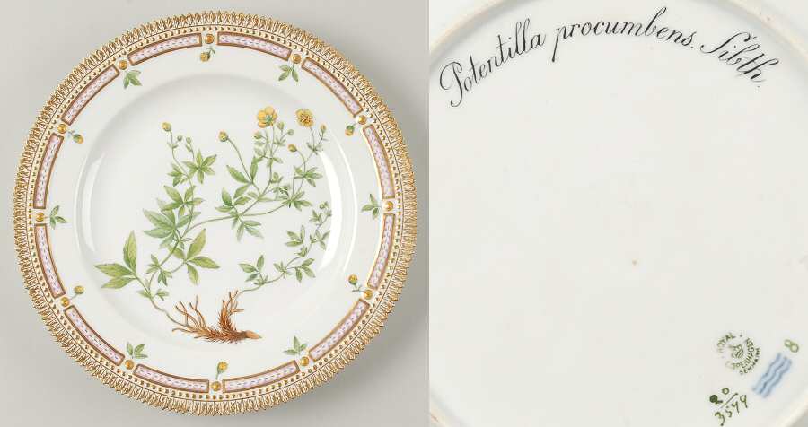 Flora Danica (1790 To 1960) Dinner Plate-Potentilla procumbens Sibth
