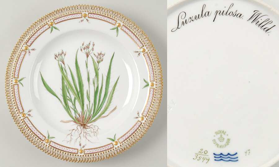 Flora Danica (1790 To 1960) Dinner Plate-Luzula pilosa Willd