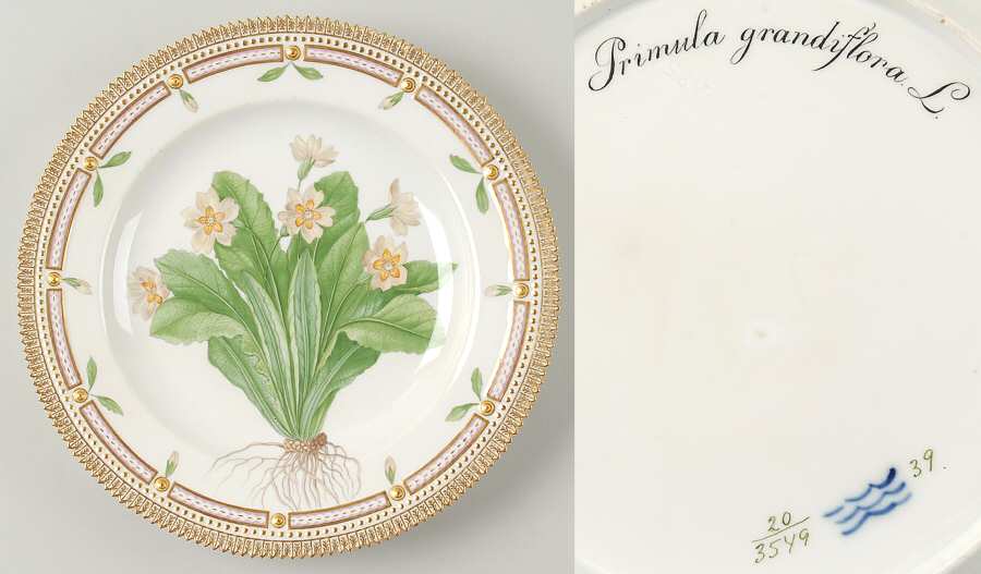 Flora Danica (1790 To 1960) Dinner Plate-Primula grandiflora L