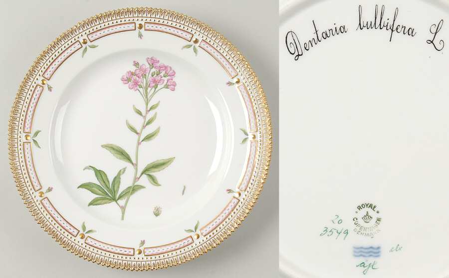 Flora Danica (1790 To 1960) Dinner Plate-Dentaria bulbifera L