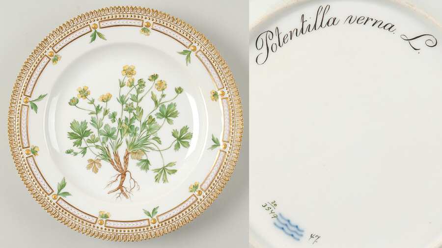 Flora Danica (1790 To 1960) Dinner Plate-Potentilla verna L