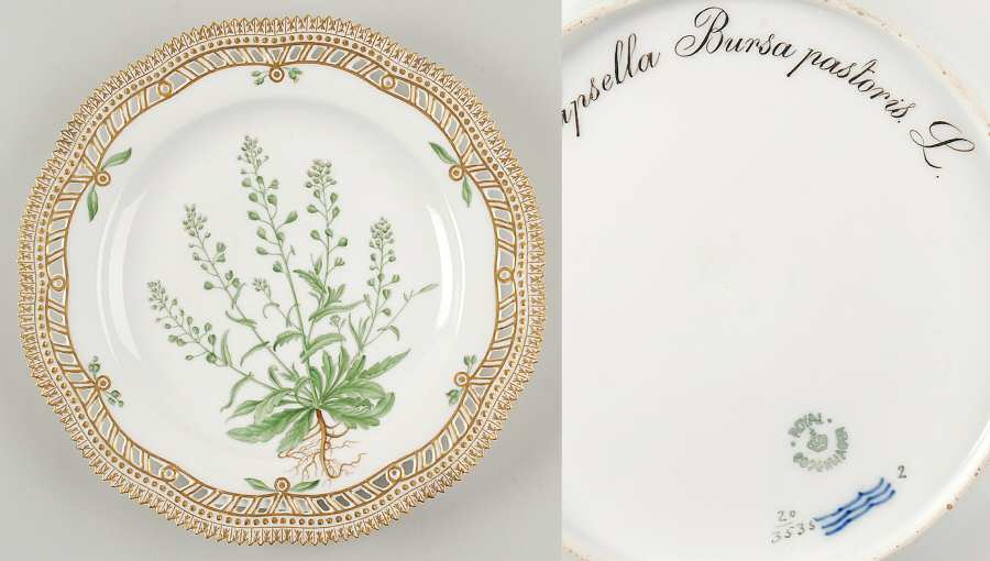 Flora Danica (1790 To 1960) 10" Pierced Dinner Plate/Fruit Std-Capsella Bursa