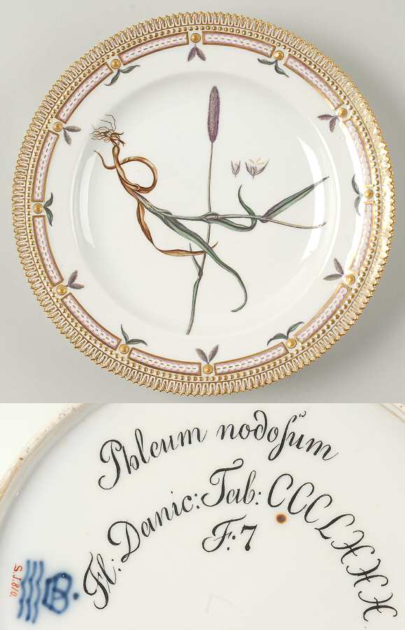 Flora Danica (1790 To 1960) Dinner Plate-JM-Phleum nodosum