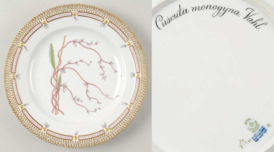 Flora Danica (1790 To 1960) Dinner Plate-Cuscuta monogyna Vahl-2 Big Leaves