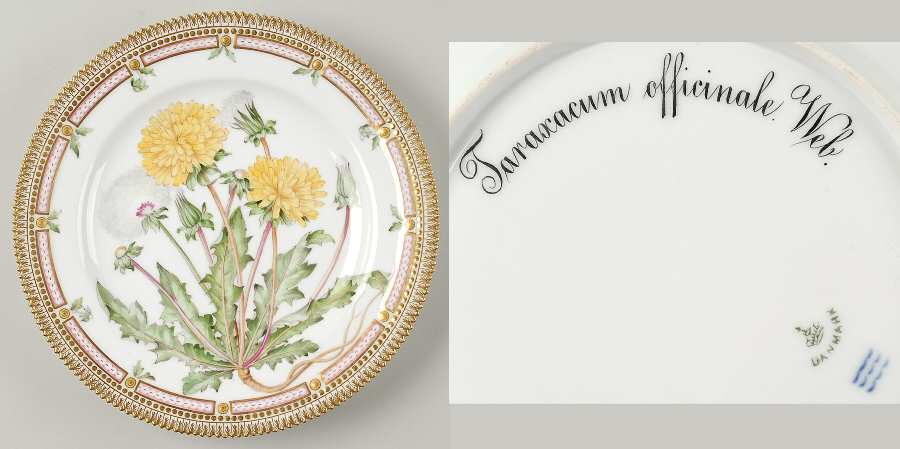 Flora Danica (1790 To 1960) Dinner Plate-Taraxacum officinale Web