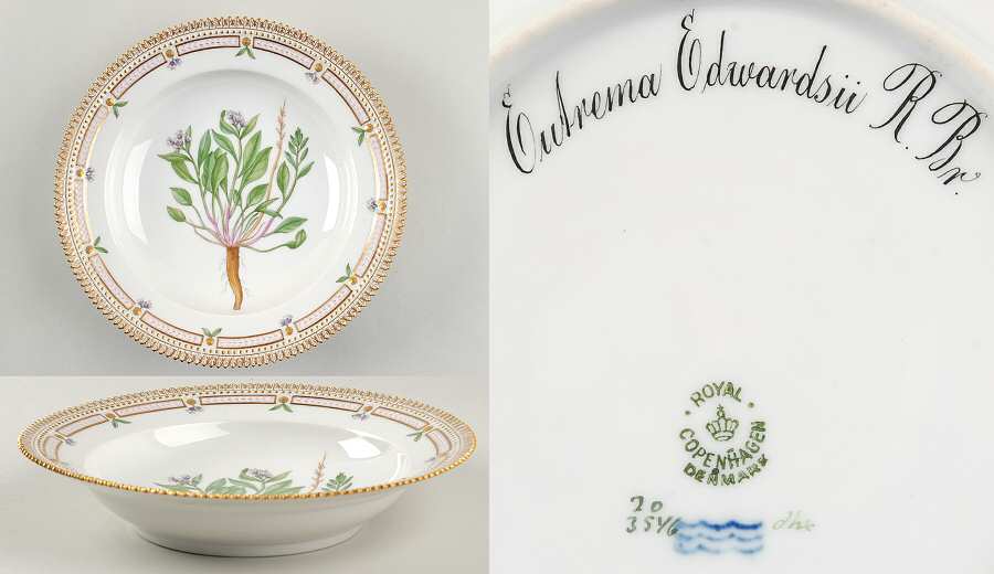 Flora Danica (1790 To 1960) Rim Soup Bowl-Eutrema Edwardsii R Br