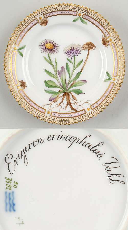 Flora Danica (1790 To 1960) Bread & Butter Plate-Erigeron eriocephalus Vahl