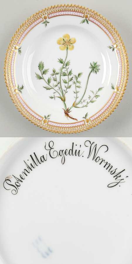 Flora Danica (1790 To 1960) Dessert/Pie Plate-Potentilla Egedii Wormskj