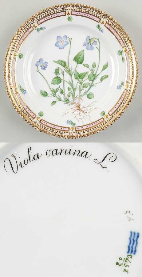 Flora Danica (1790 To 1960) Salad Plate-Viola canina L