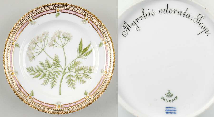 Flora Danica (1790 To 1960) Salad Plate-Myrrhis odorata Scop