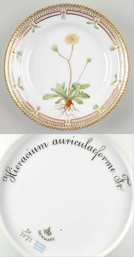 Flora Danica (1790 To 1960) Salad Plate-Hieracium auriculaeforme Fr