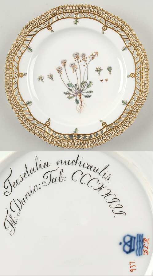Flora Danica (1790 To 1960) 9" Pierced Luncheon Plate/Fruit St-JM-Teesdalia nu