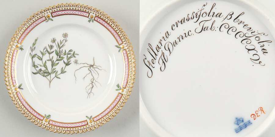 Flora Danica (1790 To 1960) Bread & Butter Plate-JM-Stellaria crassifolia B br