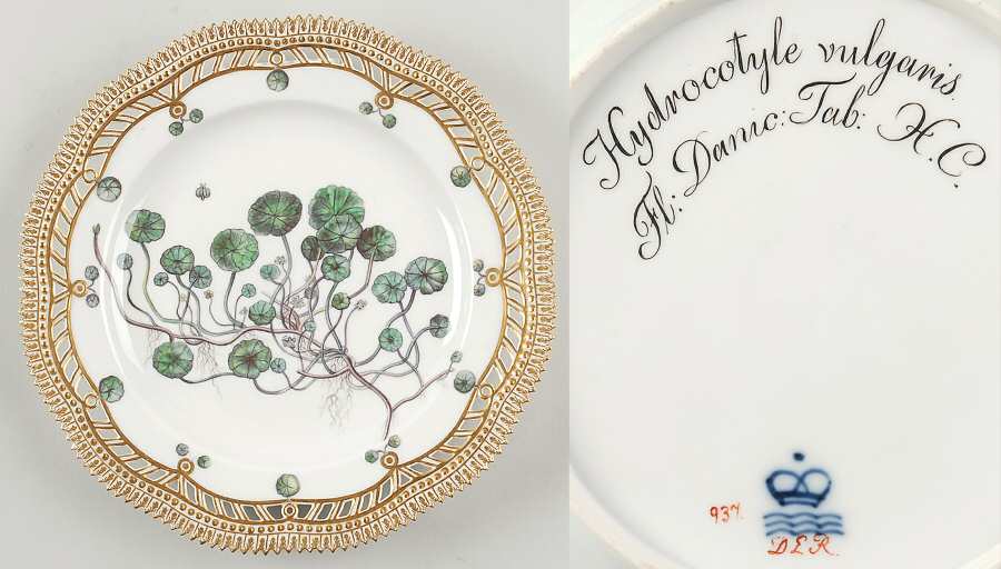 Flora Danica (1790 To 1960) 9" Pierced Luncheon Plate/Fruit St-JM-Hydrocotyle
