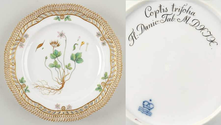 Flora Danica (1790 To 1960) 9" Pierced Luncheon Plate/Fruit St-JM-Coptis trifo