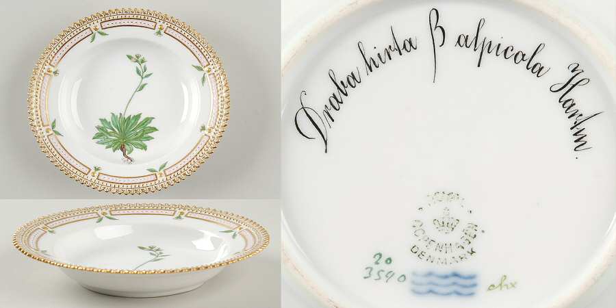 Flora Danica (1790 To 1960) Rim Fruit/Soup Bowl-Draba hirta B alpicola Hartm