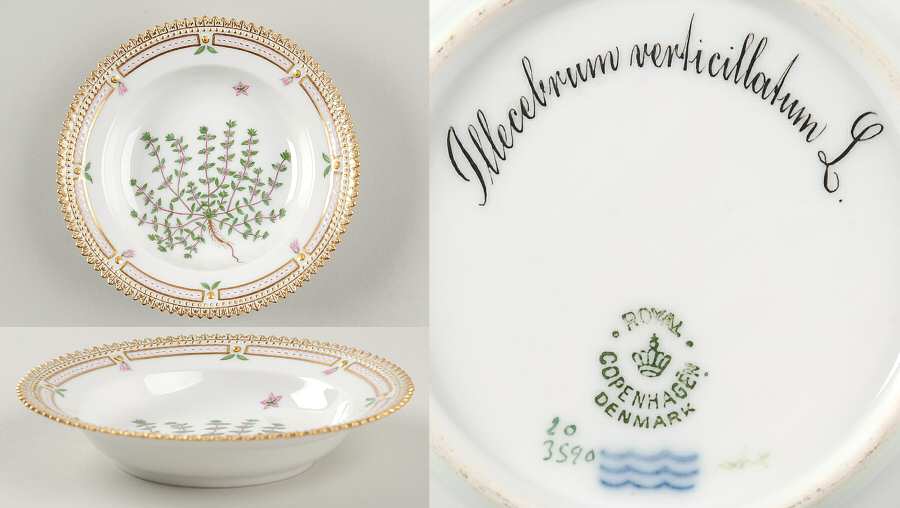 Flora Danica (1790 To 1960) Rim Fruit/Soup Bowl-Illecebrum verticillatum L