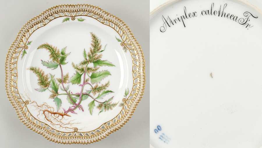 Flora Danica (1790 To 1960) 10" Round Pierced Platter-Atriplex calotheca Fr