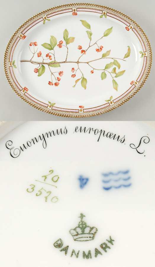 Flora Danica (1790 To 1960) 18" Oval Serving Platter-Euonymus europaeus L