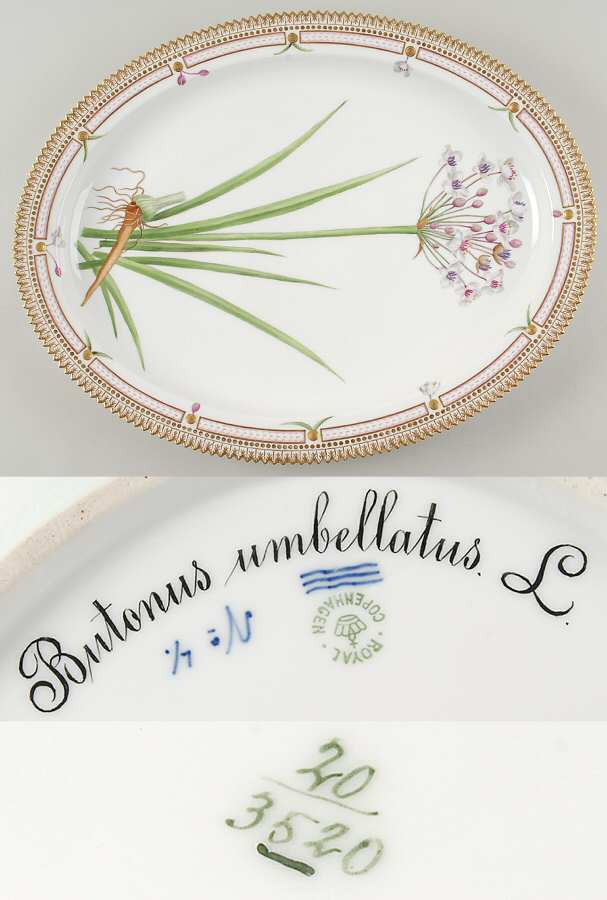 Flora Danica (1790 To 1960) 18" Oval Serving Platter-Butonus unbellatus L
