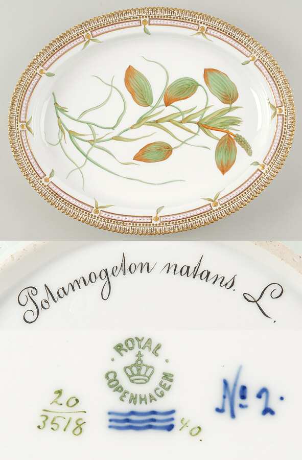 Flora Danica (1790 To 1960) 15" Oval Serving Platter-Potamogeton natans L