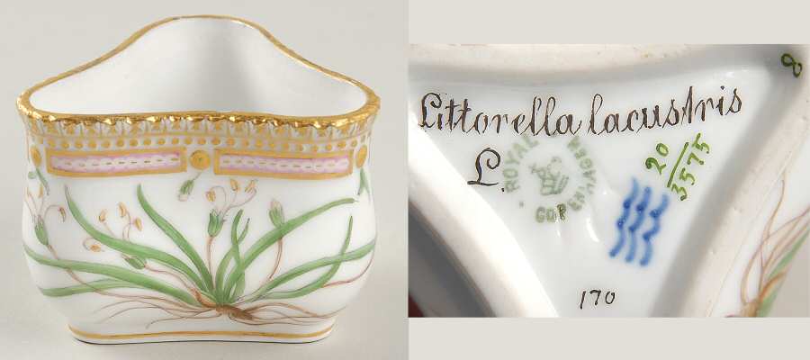 Flora Danica (1790 To 1960) Triangular Custard Cup-Littorella lacustris L