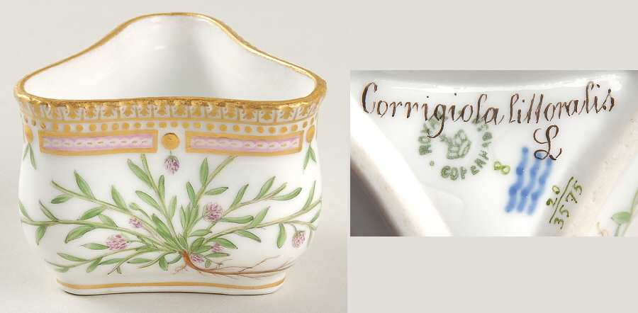 Flora Danica (1790 To 1960) Triangular Custard Cup-Corrigiola littoralis L