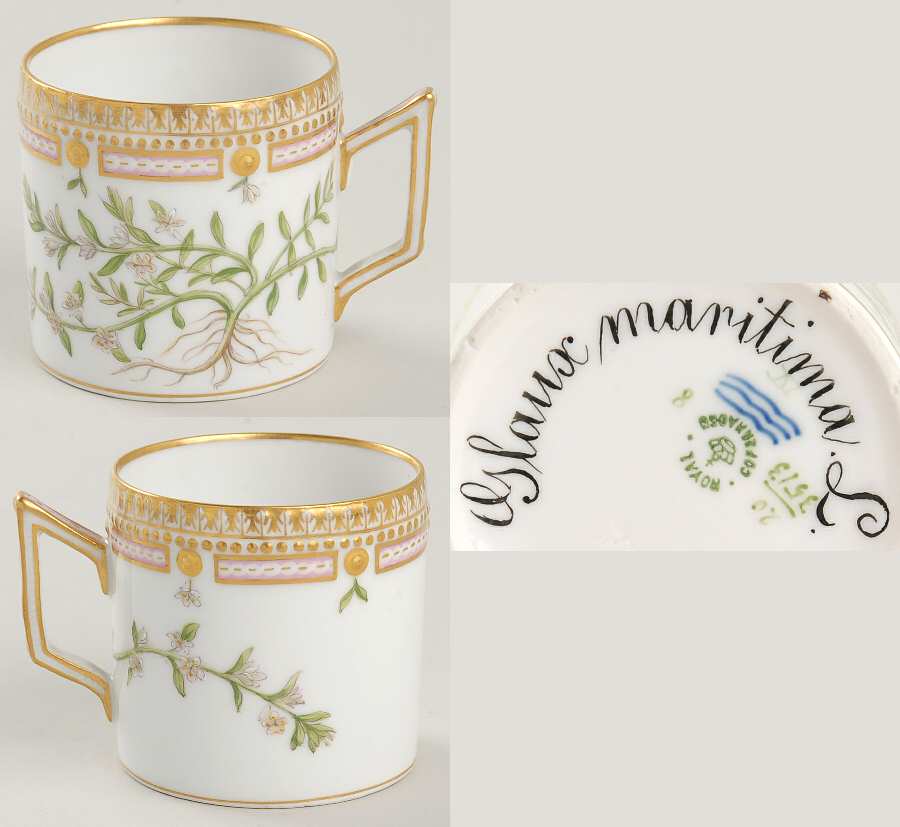 Flora Danica (1790 To 1960) Chocolate Cup-Glaux maritima L